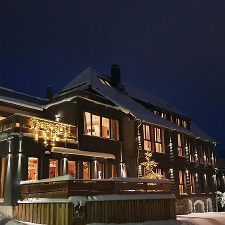 Wlodgeone Браунлаге Экстерьер фото